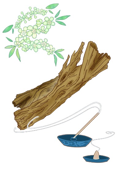 高価買取されやすい香木のイメージ画像