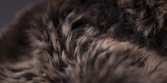 エンバ　毛皮　買取